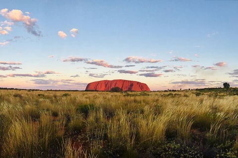 2 Day Uluru Camping Adventure - Accommodation Redcliffe 5