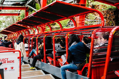 All-Inclusive Blue Mountains Day Trip With River Cruise - Accommodation Redcliffe 7