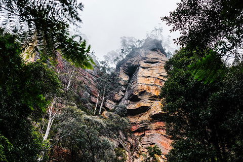 All-Inclusive Blue Mountains Day Trip With River Cruise - Accommodation Redcliffe 3