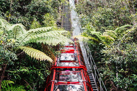 All-Inclusive Blue Mountains Day Trip With River Cruise - Accommodation Redcliffe 6