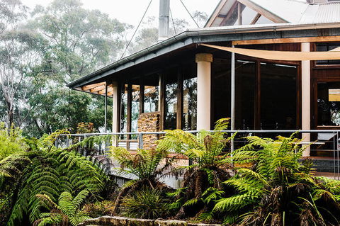 All-Inclusive Blue Mountains Day Trip With River Cruise - Accommodation Redcliffe 11