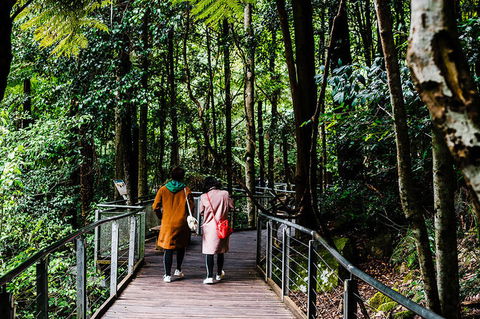 All-Inclusive Blue Mountains Day Trip With River Cruise - Accommodation Redcliffe 10