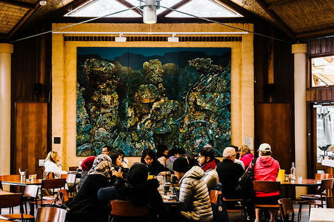 All-Inclusive Blue Mountains Day Trip With River Cruise - Accommodation Redcliffe 13