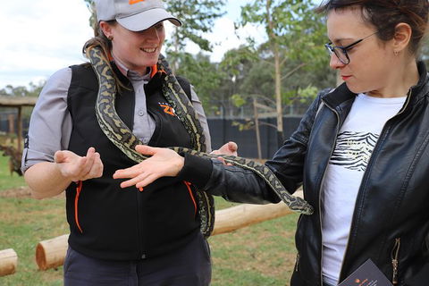 All-Inclusive Blue Mountains Day Trip With River Cruise - Accommodation Redcliffe 37