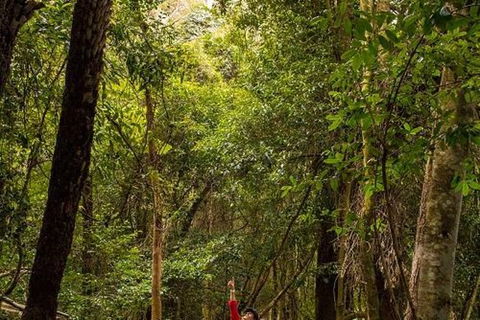 All-Inclusive Blue Mountains Day Trip With River Cruise - Accommodation Redcliffe 26