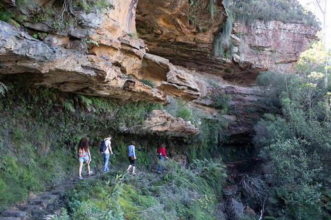 All-Inclusive Blue Mountains Day Trip With River Cruise - Accommodation Redcliffe 38