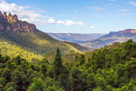 All-Inclusive Blue Mountains Day Trip With River Cruise - Accommodation Redcliffe 28