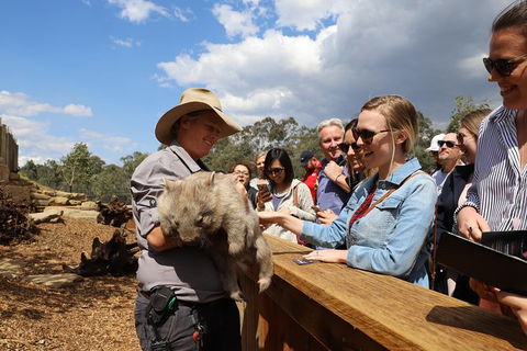 All-Inclusive Blue Mountains Day Trip With River Cruise - Accommodation Redcliffe 27