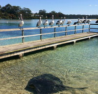 The Eurobodalla Experience Full day private tour including lunch - Accommodation Redcliffe