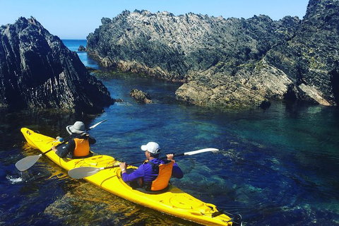 Half Day Sea Kayak Tour From Batemans Bay - Accommodation Redcliffe 1