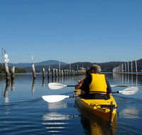 Batemans Bay Oyster Tasting Kayak Tour - Accommodation Redcliffe