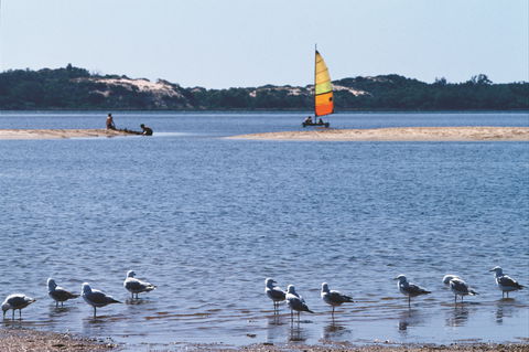 Australind - Accommodation Redcliffe 0