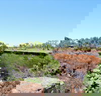 Bladensburg National Park - Accommodation Redcliffe