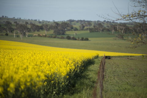 Boorowa - Accommodation Redcliffe 2