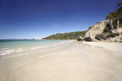 Cape Liptrap Coastal Park - Accommodation Redcliffe 1
