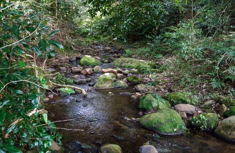 Cascades Picnic Area - Accommodation Redcliffe 0