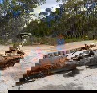 Crooked Brook Forest - Accommodation Redcliffe