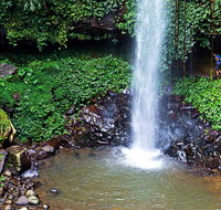 Crystal Shower Falls Walk - Accommodation Redcliffe