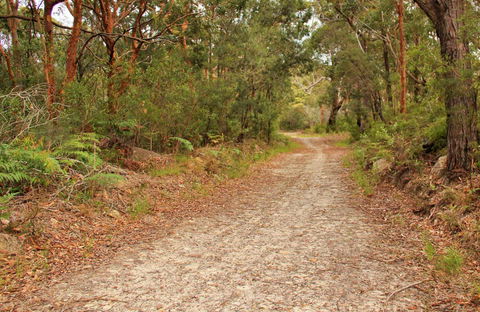 Daleys Point Walking Track - Accommodation Redcliffe 0