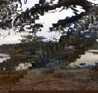 Duck Lagoon - Accommodation Redcliffe