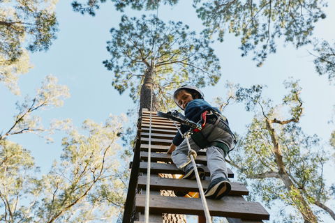 Forest Adventures South West - Accommodation Redcliffe 1