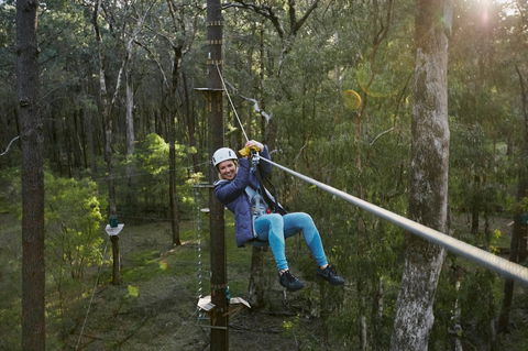 Forest Adventures South West - Accommodation Redcliffe 2