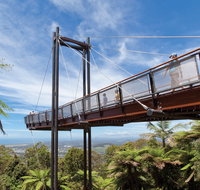 Forest Sky Pier Sealy Lookout - Accommodation Redcliffe
