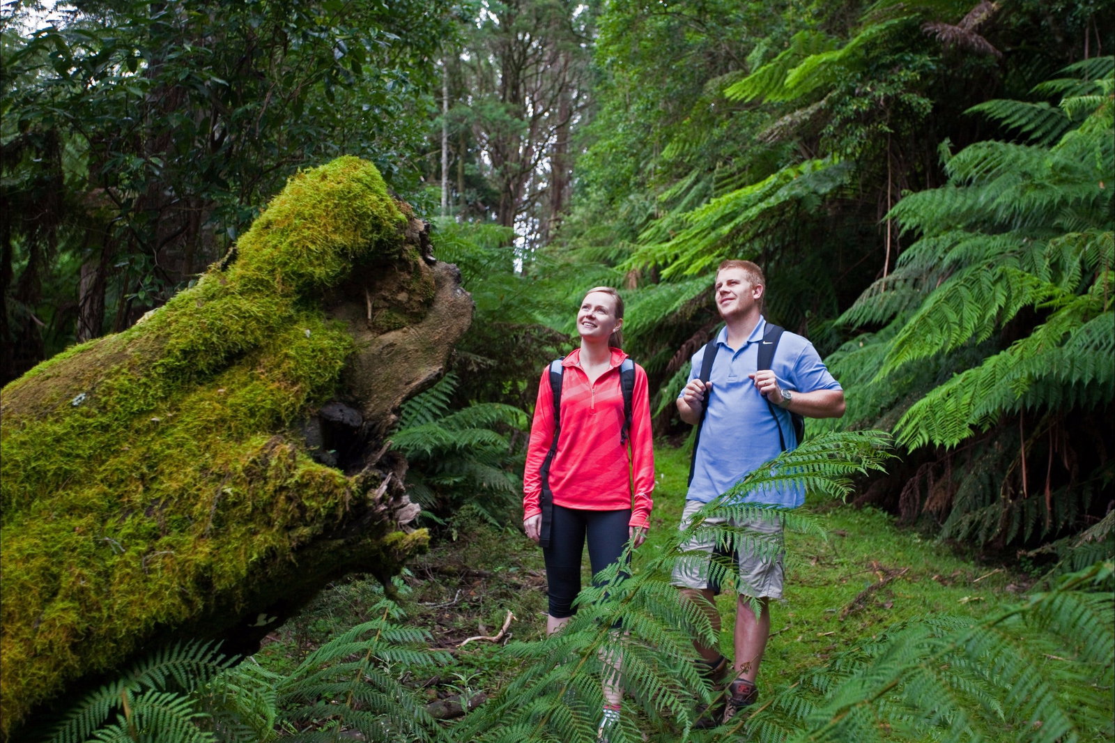 Jeeralang Junction VIC Accommodation Redcliffe