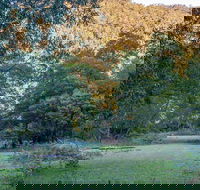 Griffins walking track - Accommodation Redcliffe