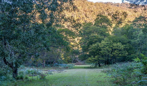 Griffins Walking Track - Accommodation Redcliffe 0