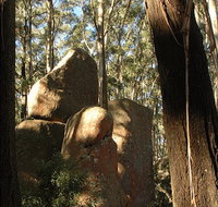 Gulaga National Park - Accommodation Redcliffe