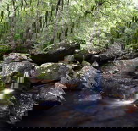 Kangaroo River - Accommodation Redcliffe