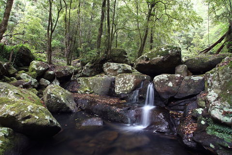 Kangaroo River - Accommodation Redcliffe 0