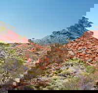 Lark Quarry Conservation Park - Accommodation Redcliffe