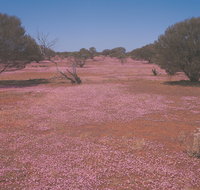 Meekatharra - Accommodation Redcliffe