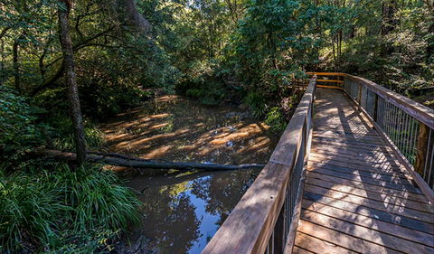 Ms Kellys Walking Track - Accommodation Redcliffe 0
