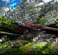Puffing Billy Railway - Accommodation Redcliffe