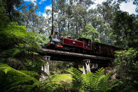 Puffing Billy Railway - Accommodation Redcliffe 0