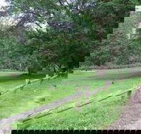 St Albans Reserve - Accommodation Redcliffe
