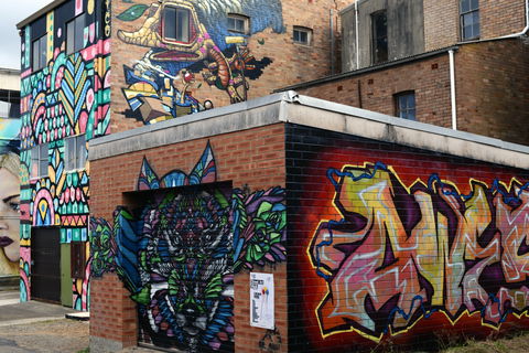Street Art Walk - Accommodation Redcliffe 1