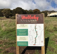 The Wallaby Track