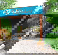 The Truffledore - Accommodation Redcliffe