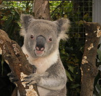 Birdland Animal Park - Accommodation Redcliffe