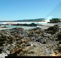 Coastal Walks - Bermagui - Accommodation Redcliffe