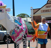Daisy the Decorated Dairy Cow - Accommodation Redcliffe