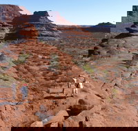 Finke Gorge National Park - Accommodation Redcliffe