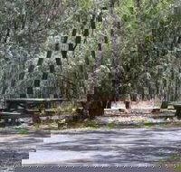 Goonoowigall State Conservation Area - Accommodation Redcliffe