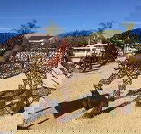 Gundersen Reserve - Accommodation Redcliffe