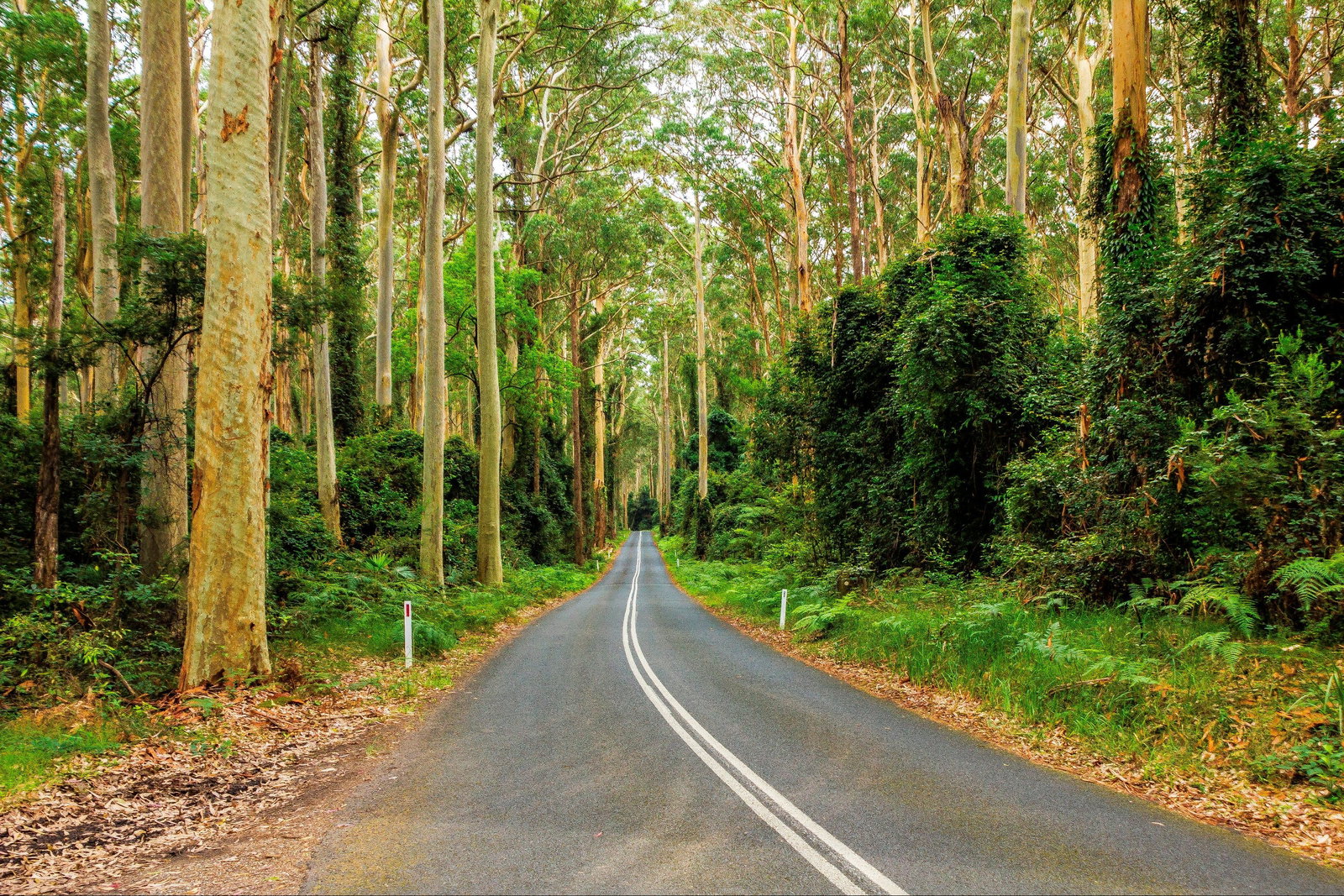 Kioloa NSW Accommodation Redcliffe