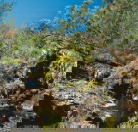 Kroombit Tops National Park - Accommodation Redcliffe